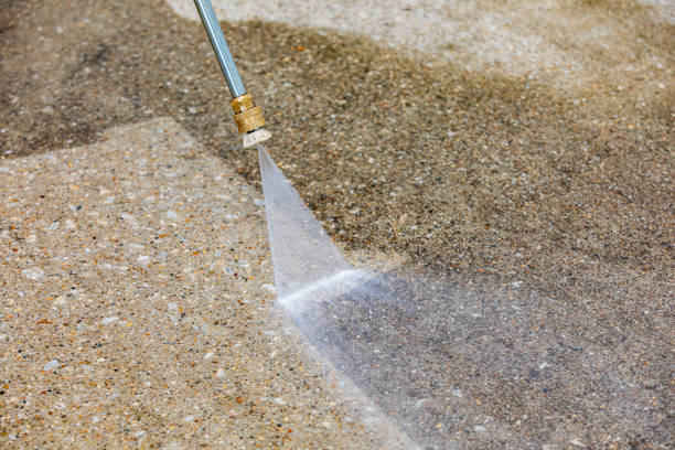 Best Animal Enclosure Cleaning  in Springville, VA