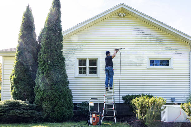 Pre-Holiday Cleaning in Springville, VA