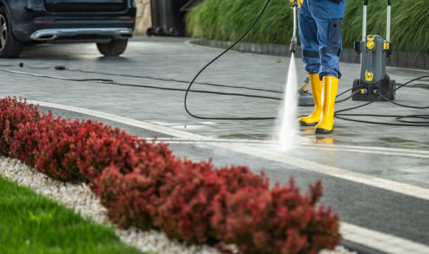 Best Rust Removal  in Springville, VA