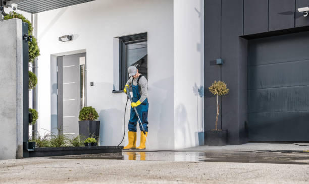 Best Gutter Cleaning  in Springville, VA
